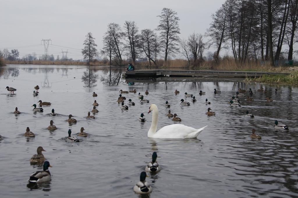Krysztalowy Palacyk โกเซียนิตซ ภายนอก รูปภาพ